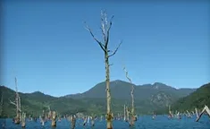 Lago Pellaifa