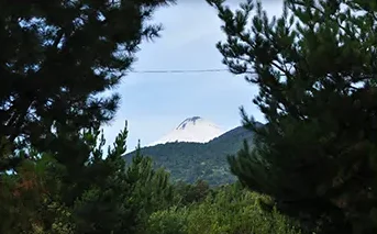 Reserva Nacional Mocho Choshuenco